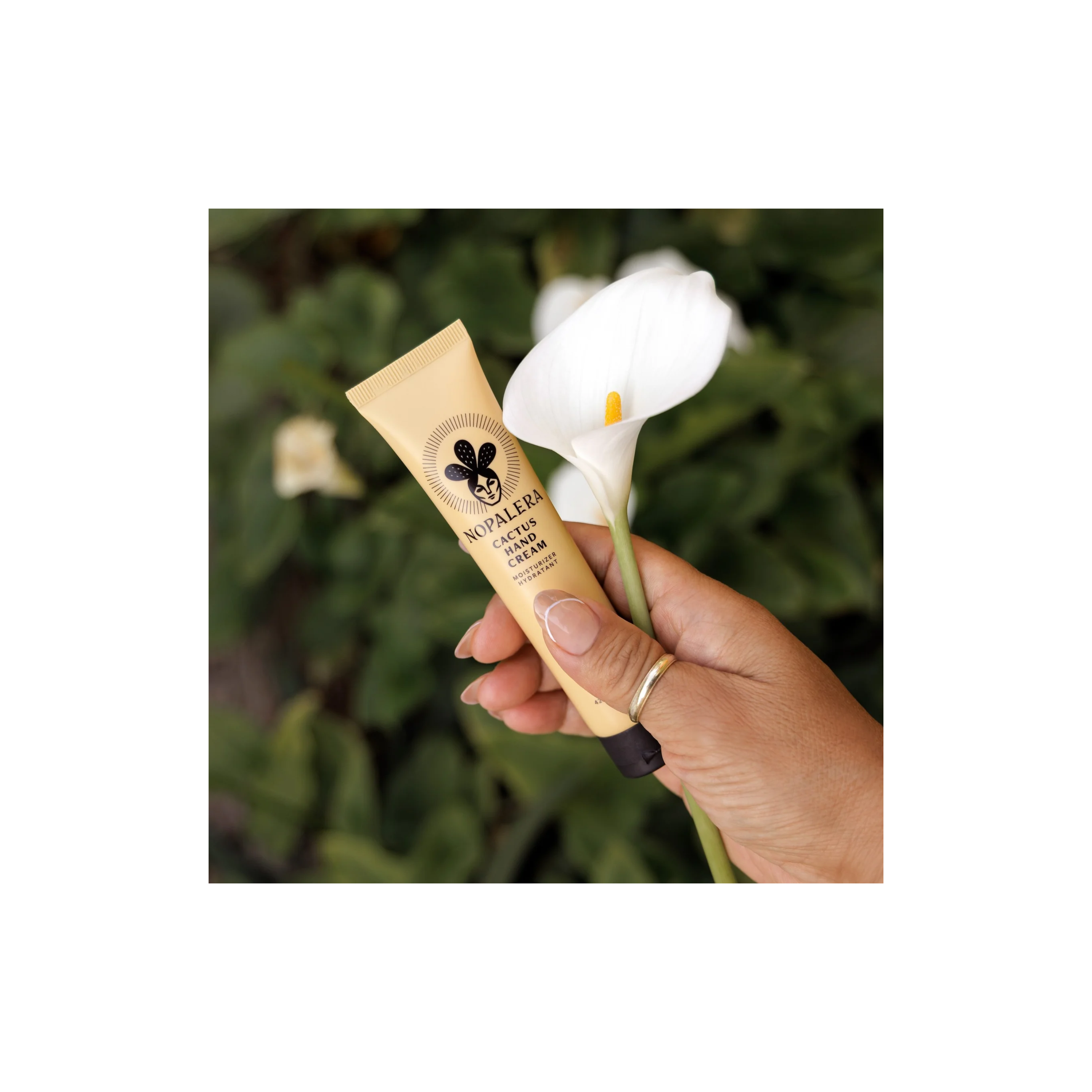 Cactus Hand Cream