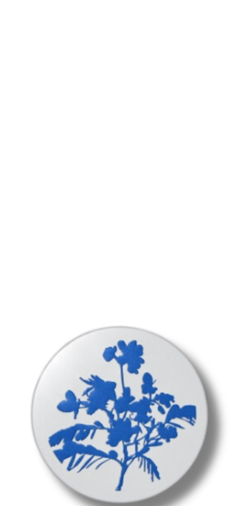 Botanical Barrier Rescue Balm