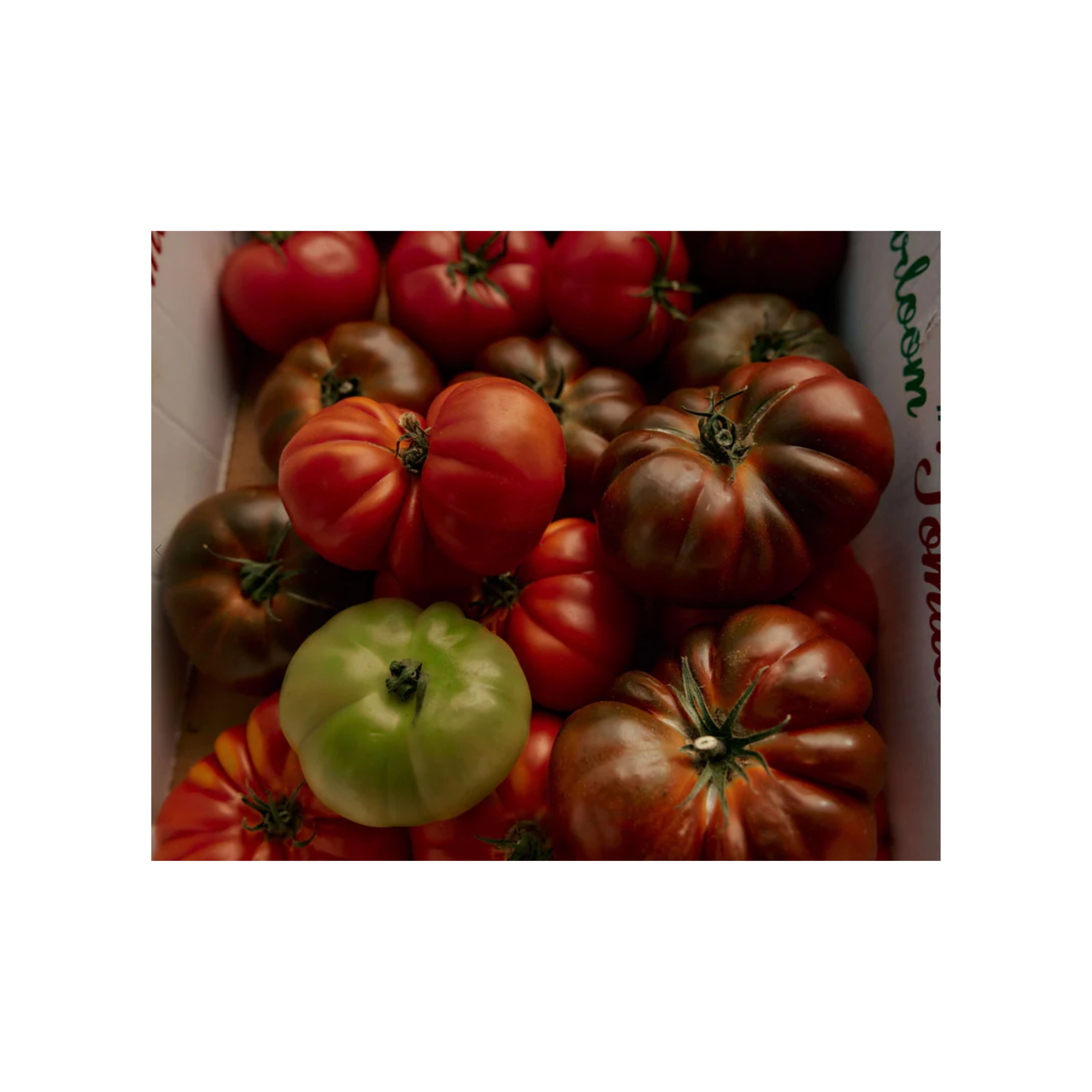 Heirloom Tomato Candle