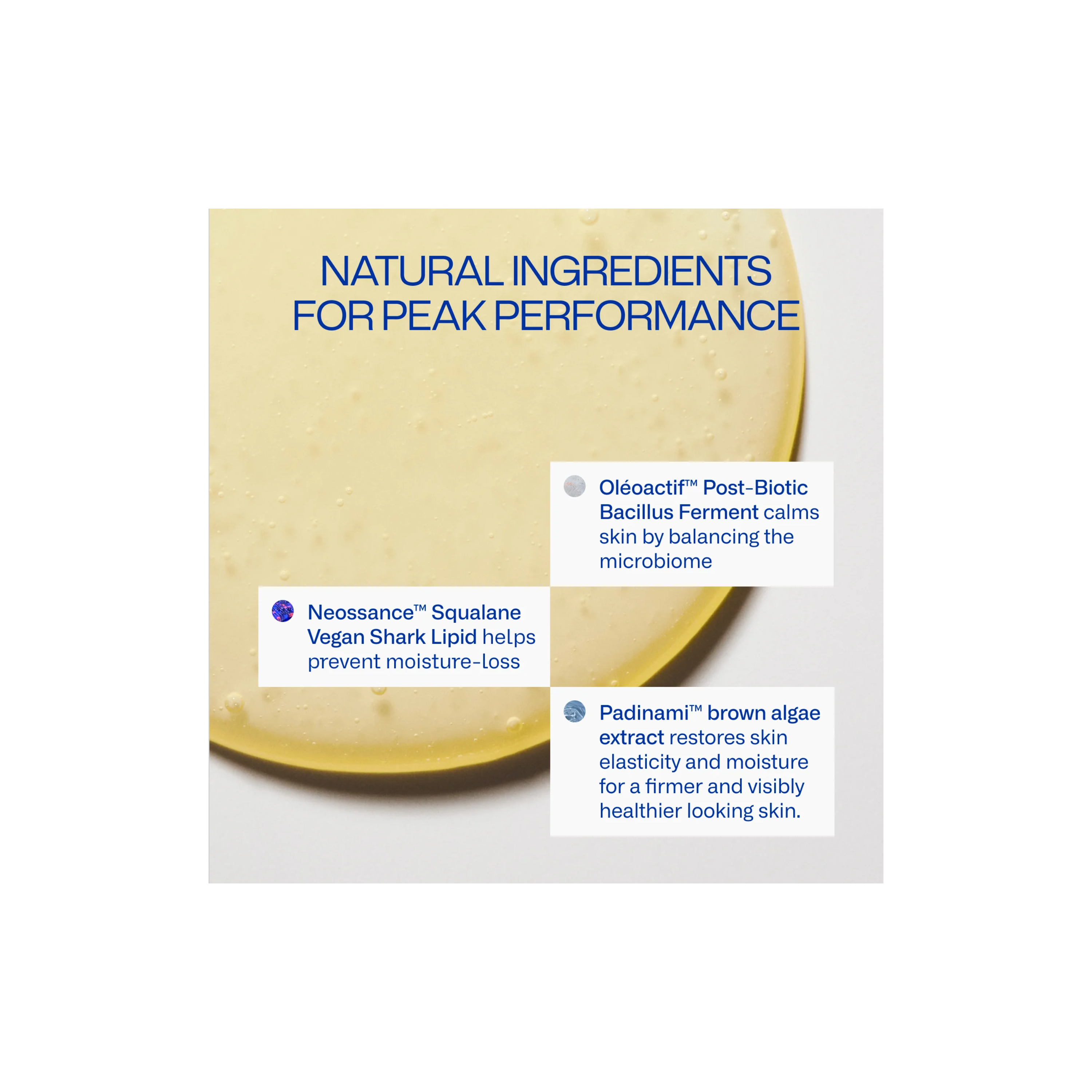 Deeper Dive Moisturizer