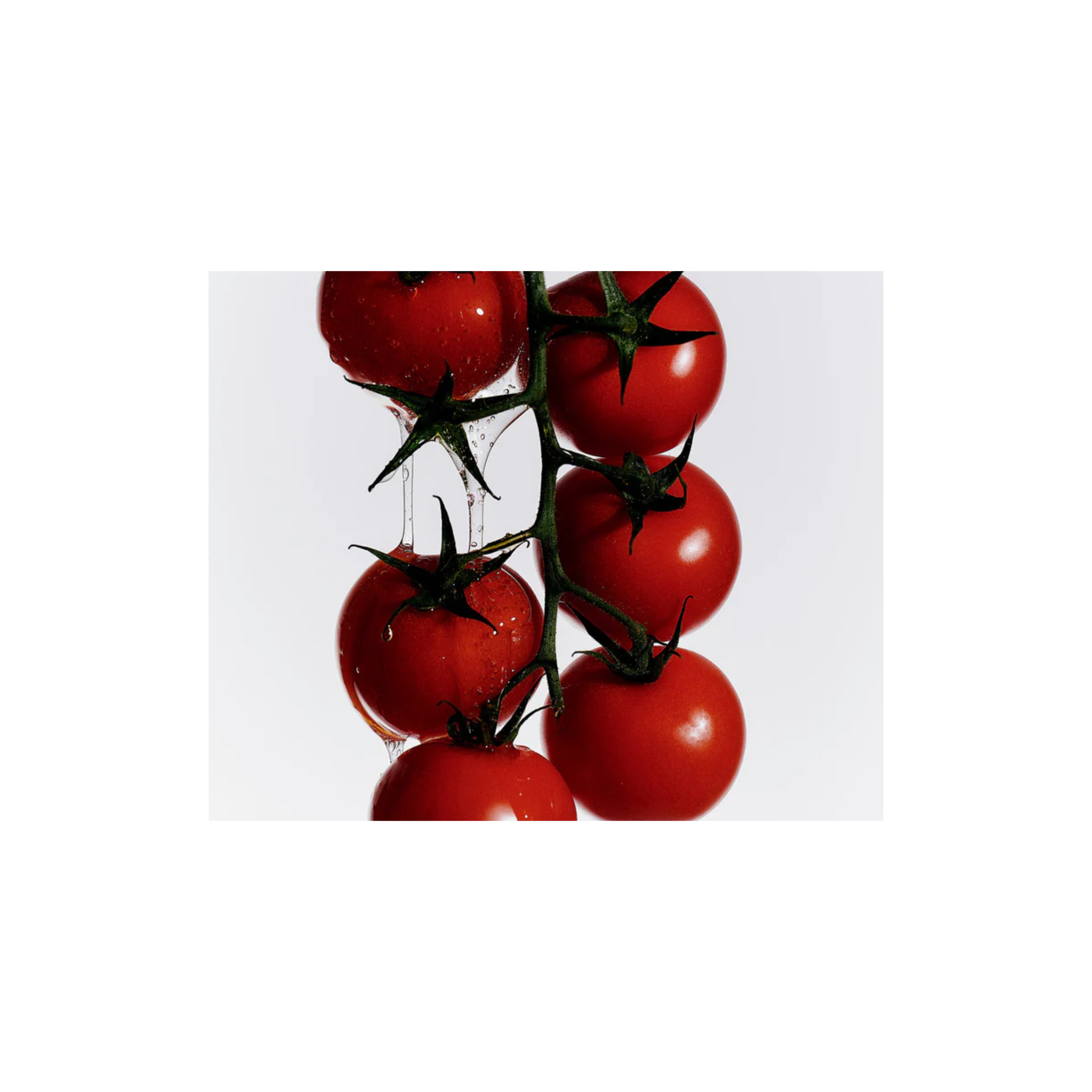 Heirloom Tomato Hand Soap