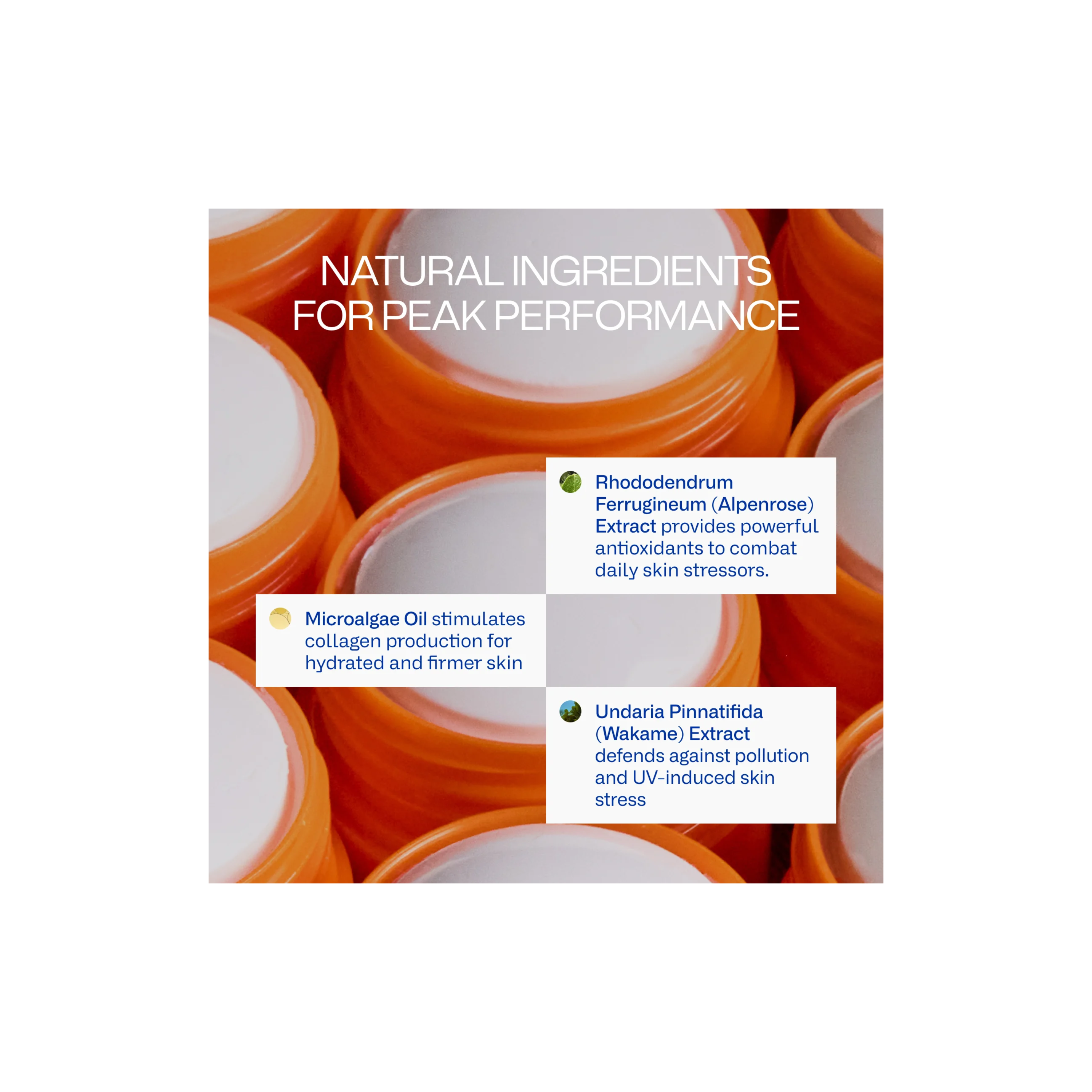 Peak Performance Sun Stick SPF 50