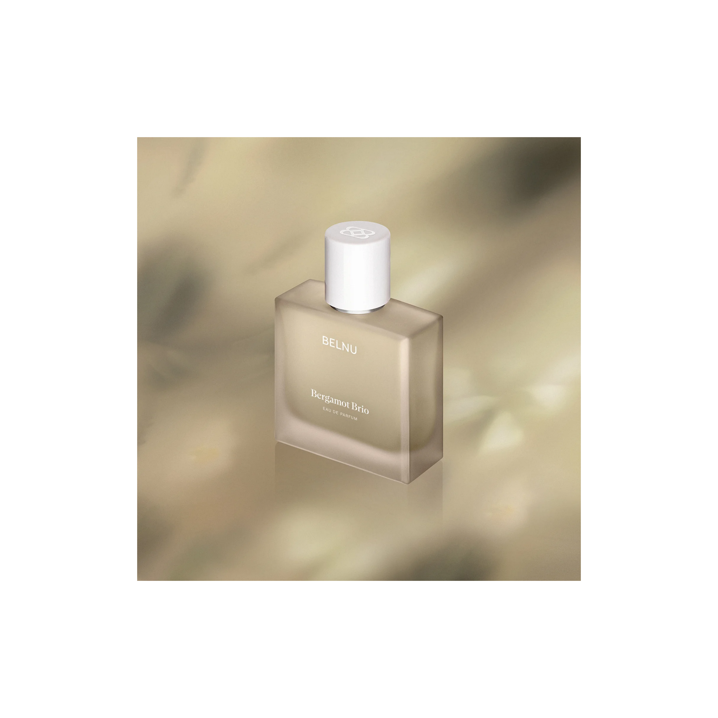Bergamot Brio Fragrance