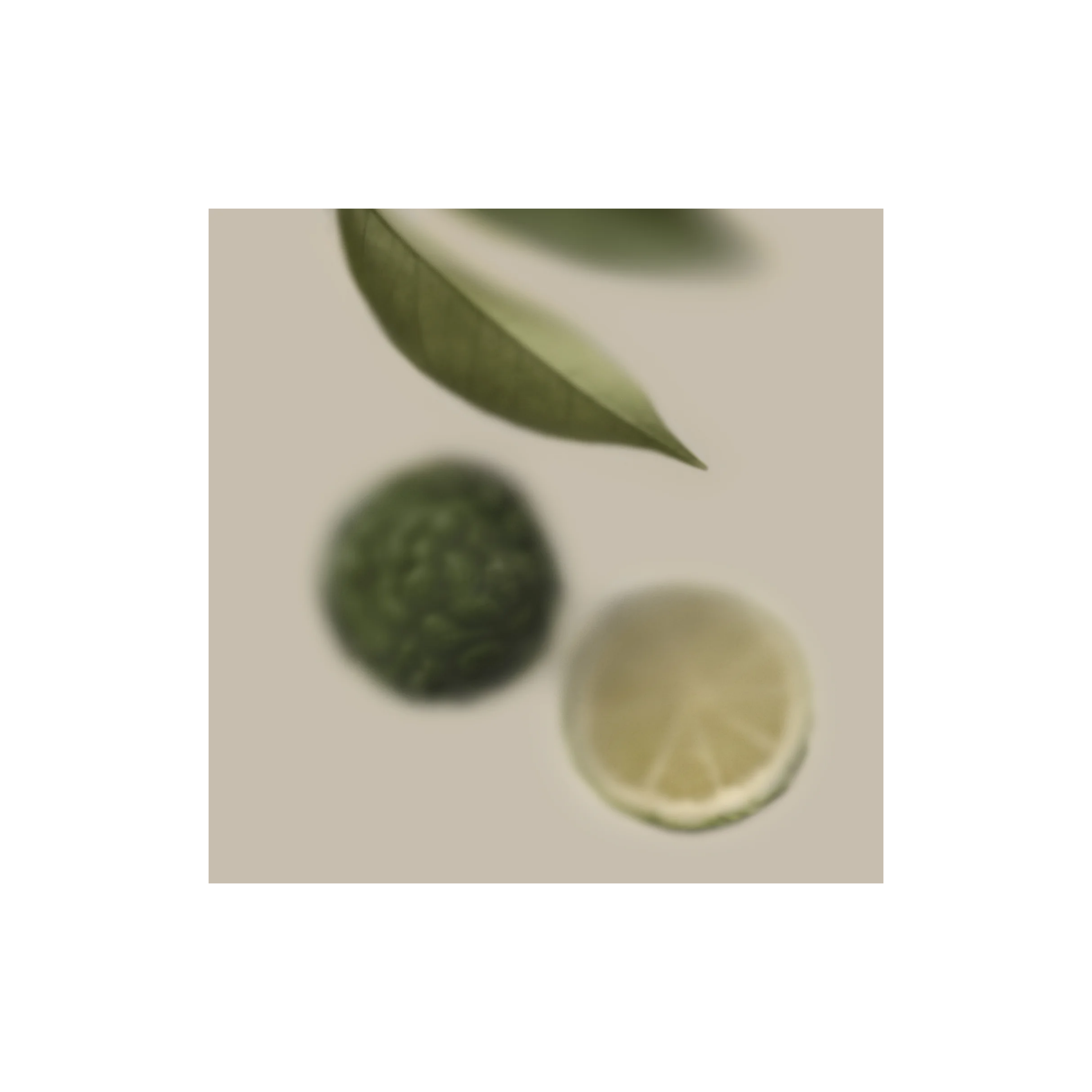 Bergamot Brio Fragrance