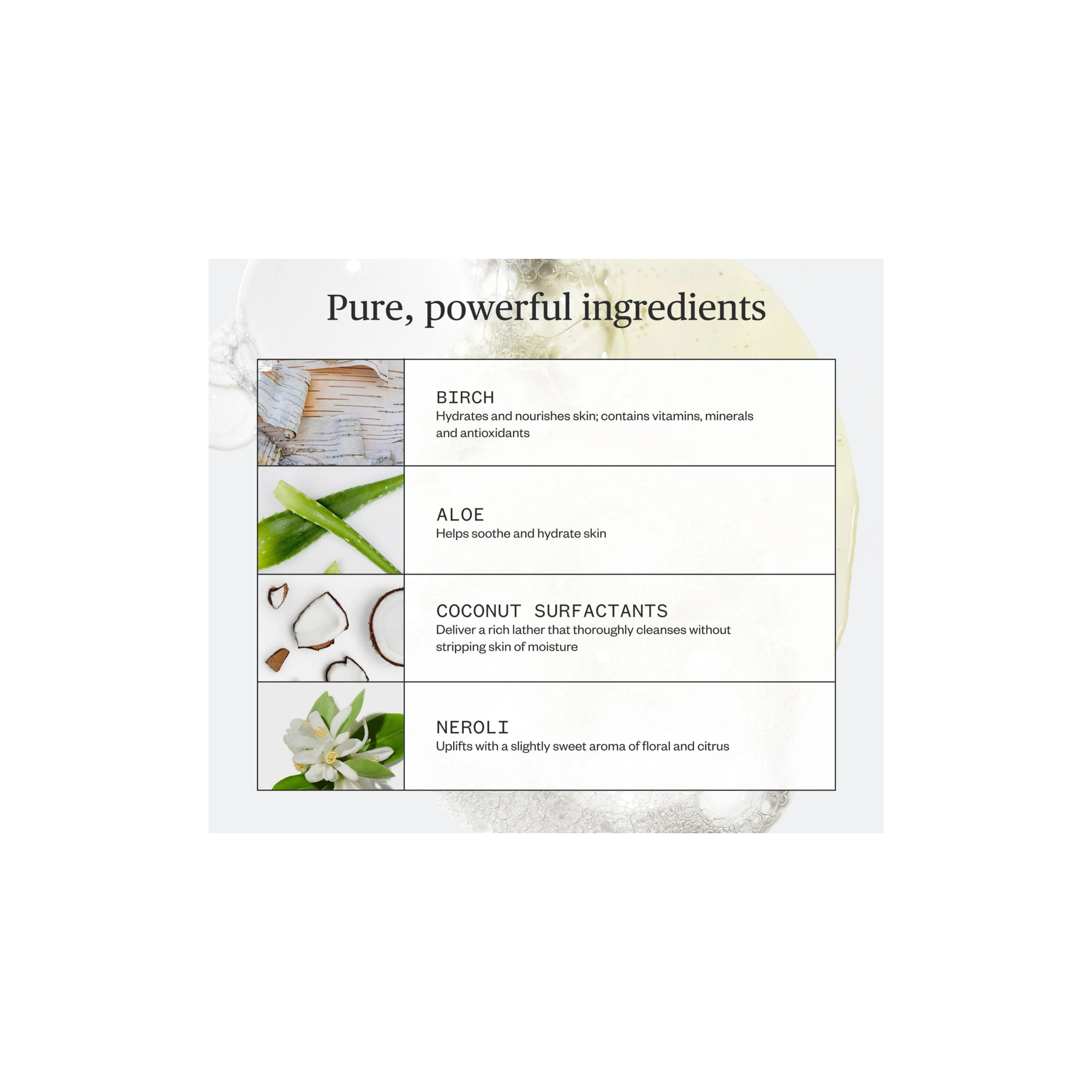 Botanic Buzz Hand Wash