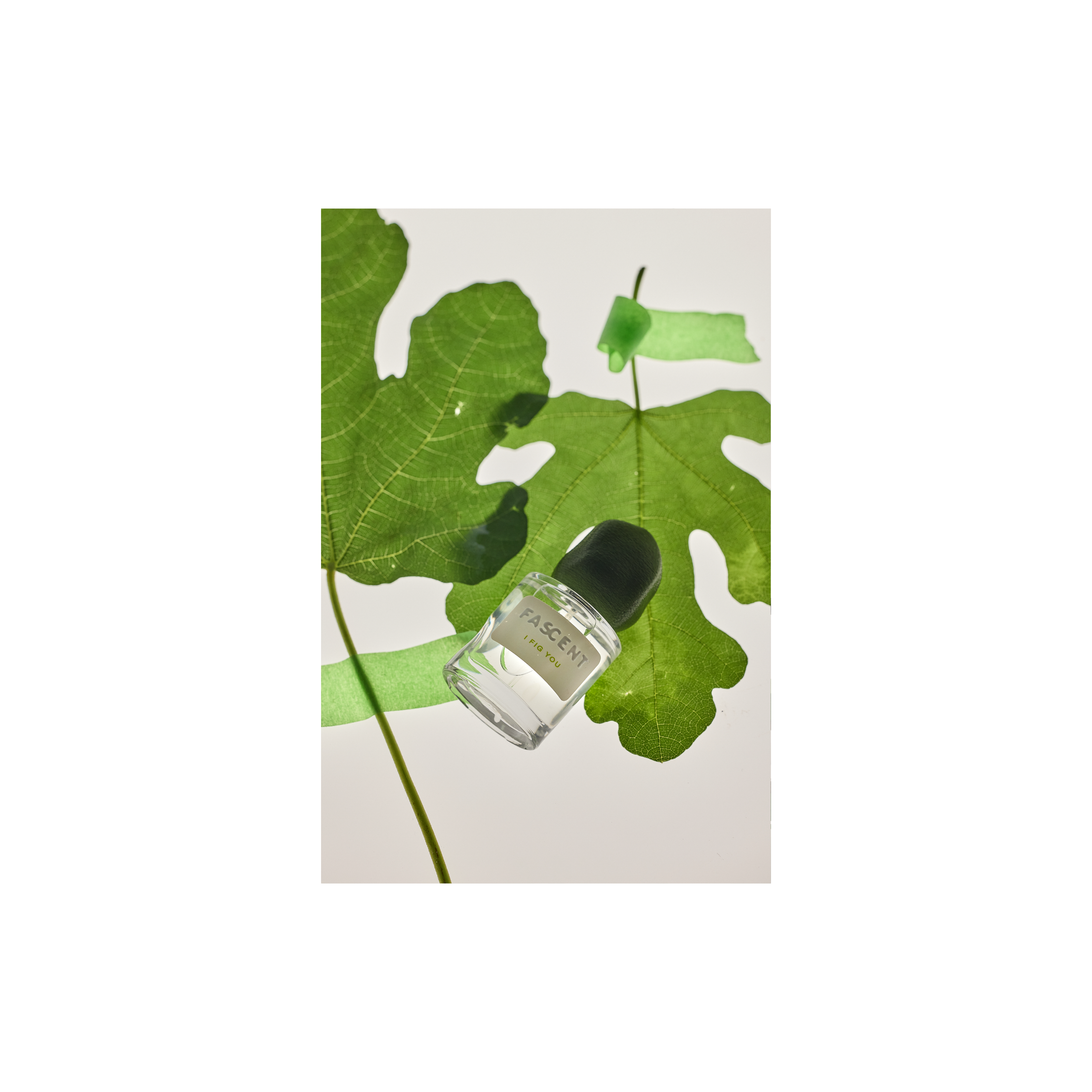 I FIG YOU Fragrance